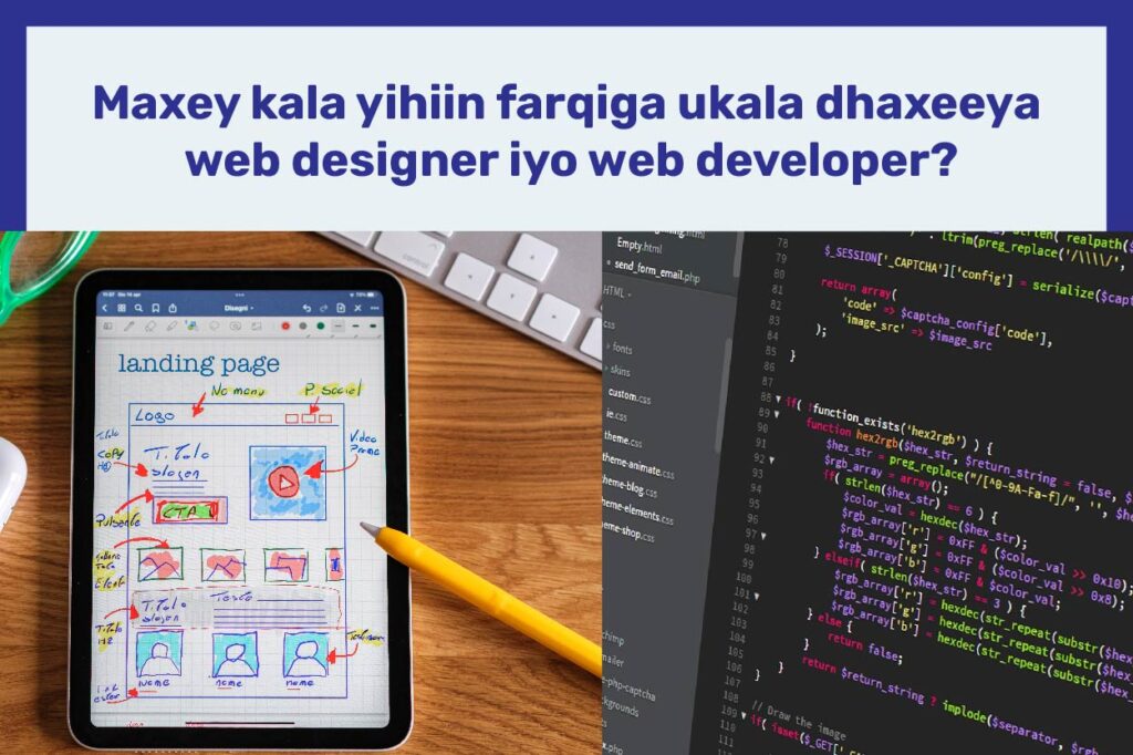Web Design iyo Web Developer